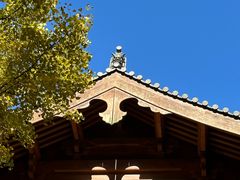 -灵隐飞来峰景区