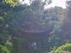 -深圳国际园林花卉博览园