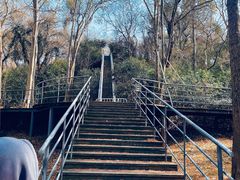 -上海月湖雕塑公园
