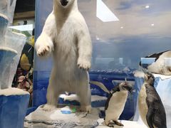 -国家自然博物馆