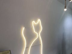 -有猫主题·治愈系猫咖(曾厝垵店)