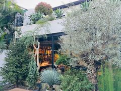 -自由生长植物工作室(深港花卉中心店)