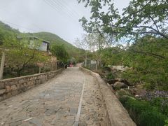 -大岭沟猕猴桃谷风景区