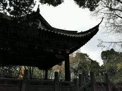 -汇龙潭