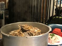 -千岛蚝高压锅生蚝·人参火锅(白云万达店)