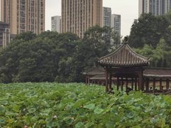 -龙头寺公园