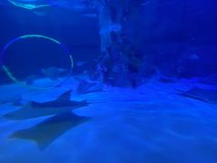 -沈阳海洋探索中心