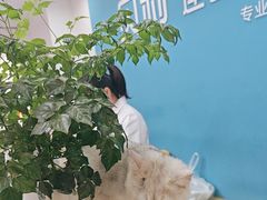 -贝利宠物医院·骨科·眼科·肿瘤转诊中心(南坪诊疗中心)
