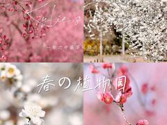 -国家植物园