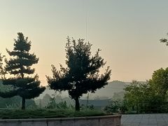 -南宁良凤江国家森林公园