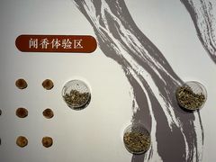 -海口市博物馆