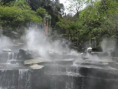 -中国大熊猫保护研究中心雅安碧峰峡基地