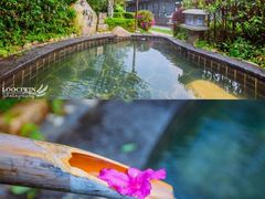 -明月山天沐温泉度假村