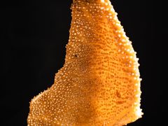 -葫芦福禄娃一家人火锅(平安金融中心店)