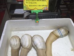 -蚝专家(北滘店)
