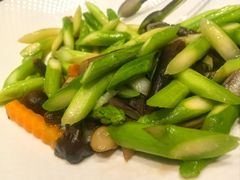 -海派美食·家宴海鲜青岛菜·石锅鲽鱼头(东方城店)