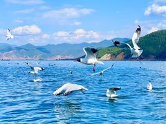 -丽江泸沽湖景区