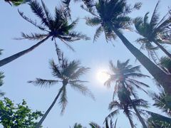 -三亚蜈支洲岛旅游区