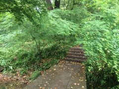 -西湖风景区-江洋畈生态公园