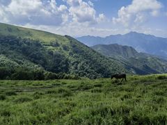 -灵山