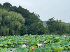 -云龙湖旅游景区