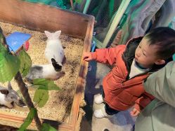 -酷嗒动物文化乐园(cutezoo西溪乐天城店)