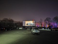 -枫花园汽车电影院(朝阳公园店)