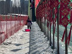 -绿野森林乐园冰雪季