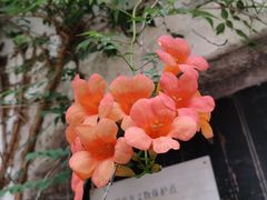 -仓桥直街