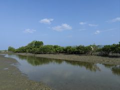 -盐洲岛
