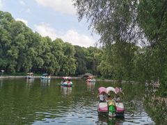 -黑龙江省森林植物园