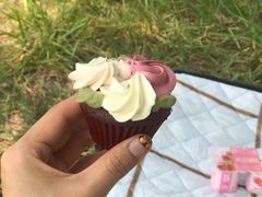 红丝绒纸杯蛋糕-派悦坊·甜品·蛋糕(日坛店)