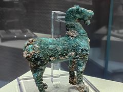 -张掖市博物馆