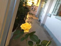 -朗韵钢琴学校(中环金界店)