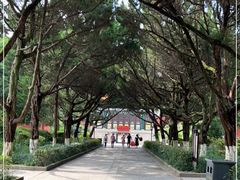 -南岳大庙