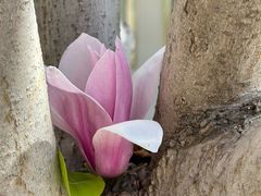 -丰台花园
