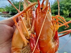 -欢乐蟹庄·精品农家乐(阳澄湖莲花岛店)