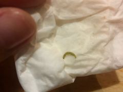 -龙泉人椰子鸡.糟粕醋.海南菜(三亚旗舰店)