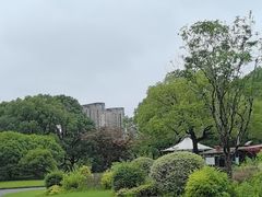 -新江湾城公园