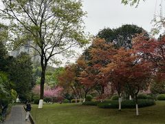 -龙头寺公园
