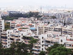 -仙岳公园