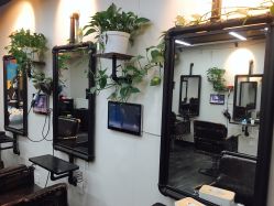 -AFA Hair studio·女士发型设计