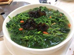 上汤桑菜-竹庄餐馆·26年店(南昆山景区店)
