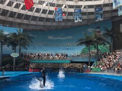 -海合安成都极地海洋公园