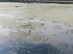 -桂林灵渠景区
