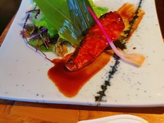 -Hatsune隐泉日式料理(三里屯太古里店)
