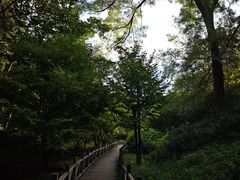 -香山公园