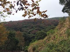 -广州市石门国家森林公园