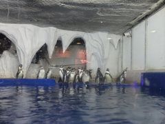 -太平洋海底世界