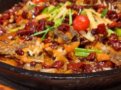 -老板恋上鱼(恒隆广场店)